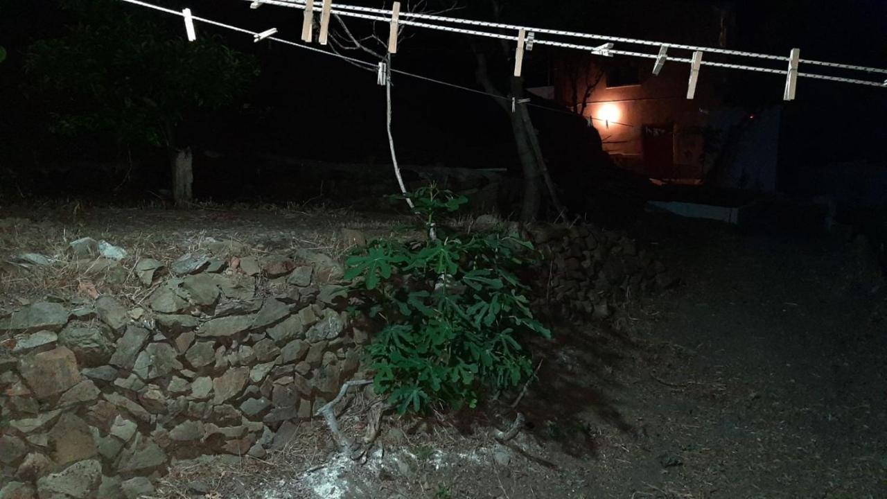 Villa Kotetsi - Rooms To Let - Volissos - Chios Zewnętrze zdjęcie